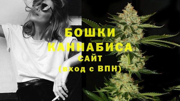 трава Богданович