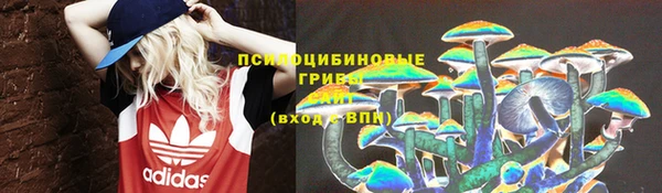 дурь Богородицк